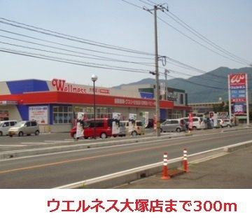 【周辺】 | メゾンドールＢ | ウエルネス大塚店まで300m