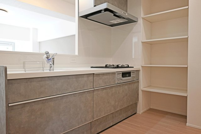 吹田芙容ハイツのキッチン|新調済のシステムキッチン横には可動棚を設けています。