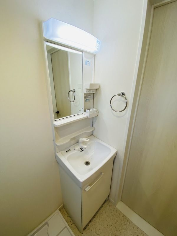 ベルフラッツ東武練馬の洗面所