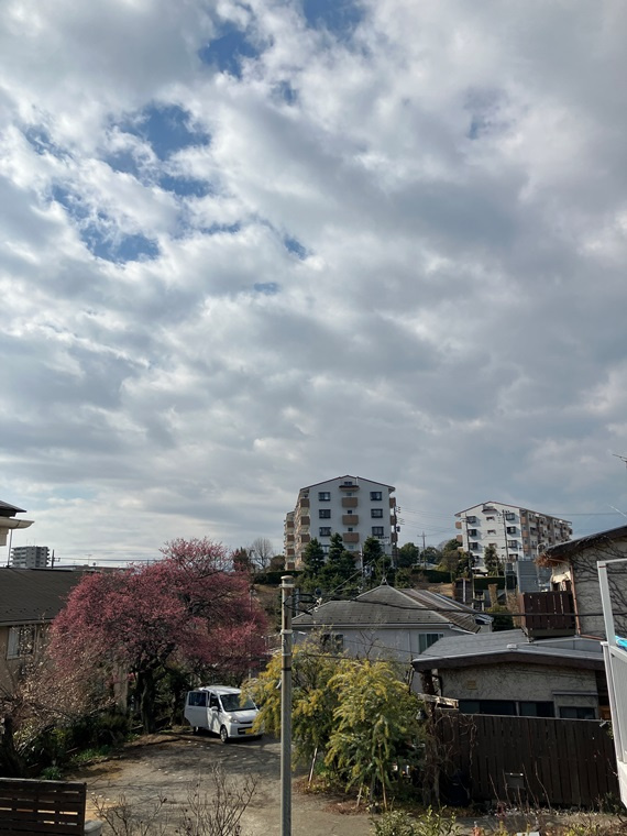 落合戸建の展望