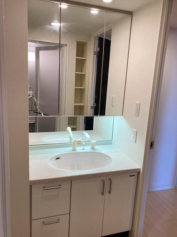 ナイスアーバンステイツ横濱新子安の洗面所