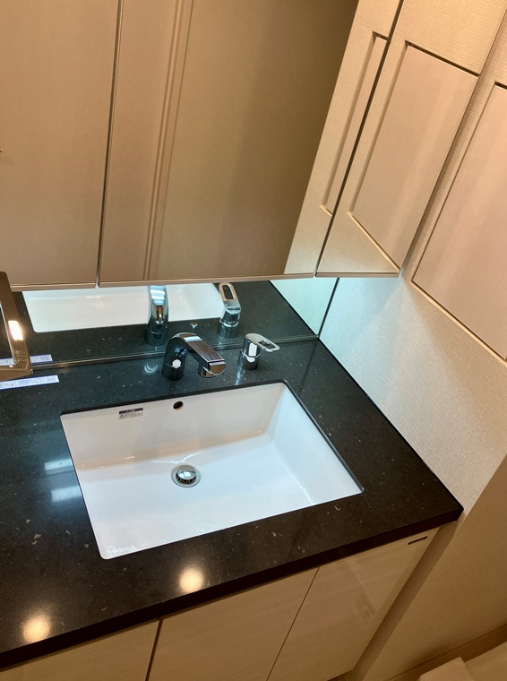 オープンンレジデンシア神楽坂プレイス　の洗面所