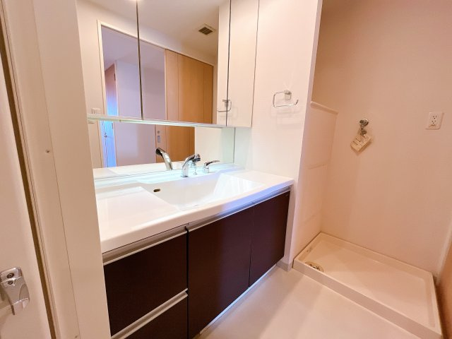 メゾンヴェール大高南の洗面所