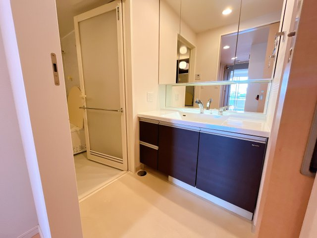 メゾンヴェール大高南の洗面所