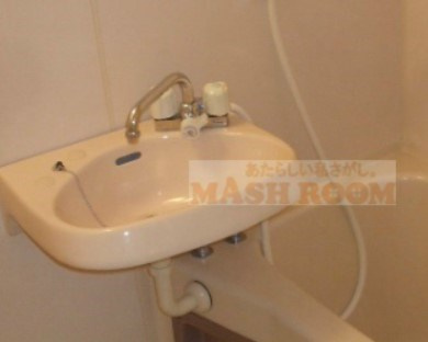 メゾン・ミネⅠの洗面所