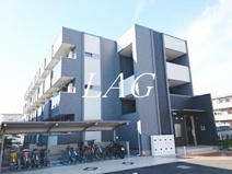 プラシードの画像