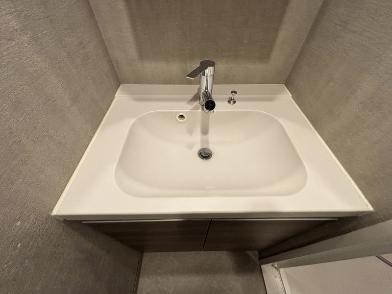 ディームス根岸の洗面所