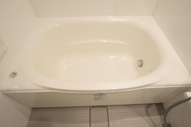 ザ・ライオンズミレス蔵前の浴室