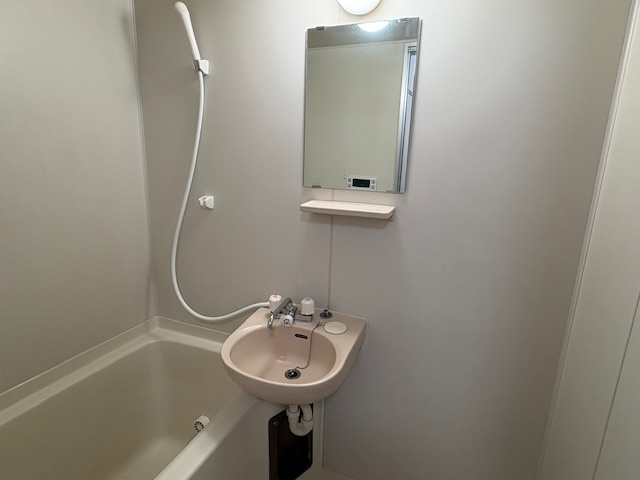 笹屋マンションの洗面所