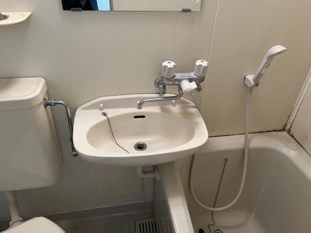 カーサグラン東向島の洗面所