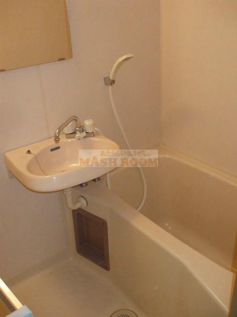 メゾン・ミネⅠの浴室