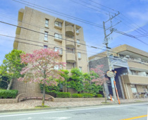 グレイスコート成城の画像