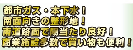 【仲介手数料無料】新築戸建　熊谷市本石2-324（全1棟）の構造・工法・仕様