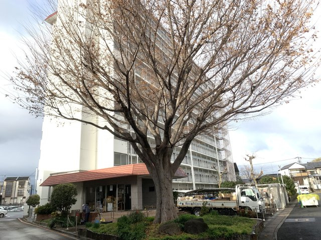 桂川ハイツ4号館502号室の外観