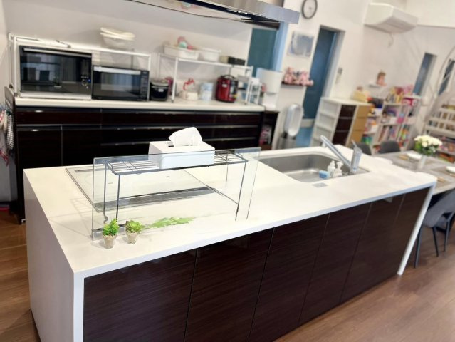 祖師谷５　戸建のキッチン|浄水器付きハンドシャワー水栓・水なし両目焼きグリル