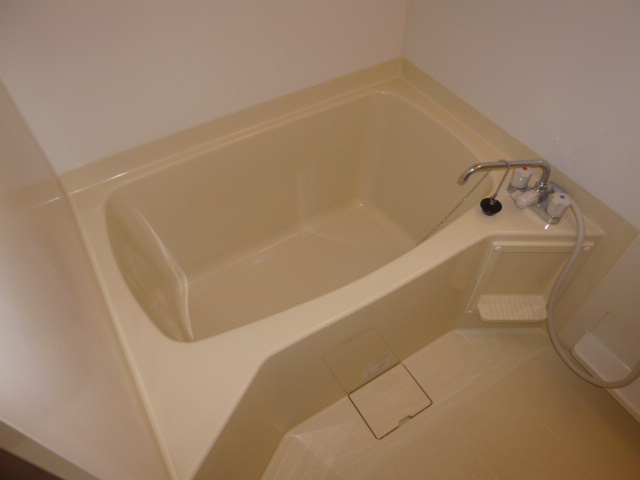 フジパレスの浴室