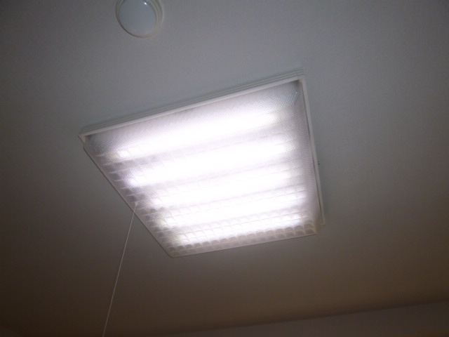 フジパレスの設備|照明