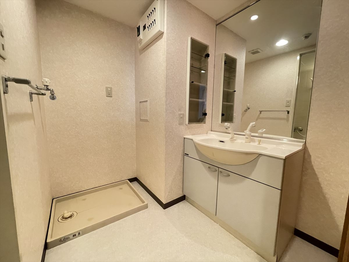 N・S FIVE東久留米の洗面所