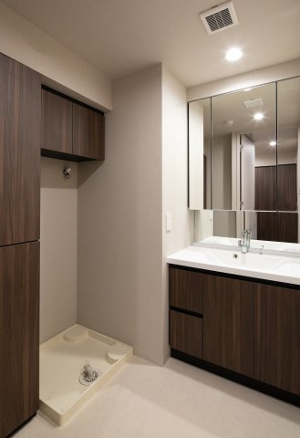 レアライズ浅草Ⅴの洗面所