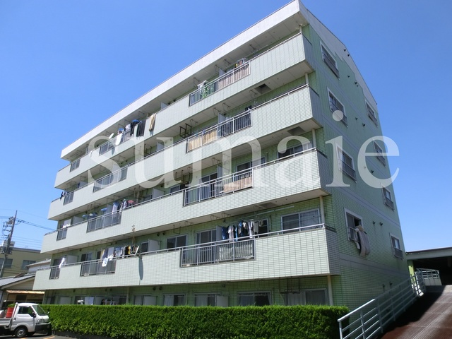 サンドリーム２５の外観|嬉しい南向きペット可マンションです♪