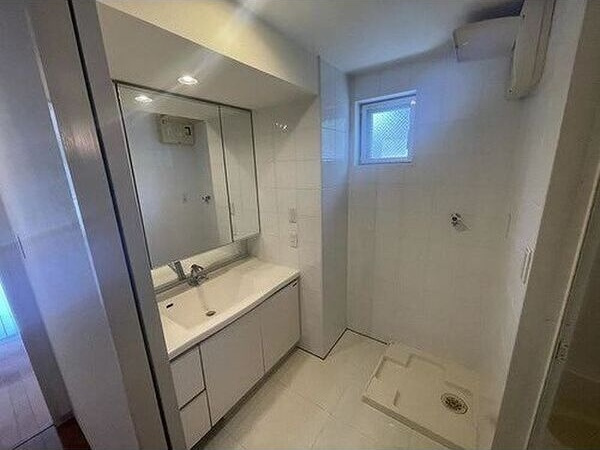 メゾン・ド山手の洗面所