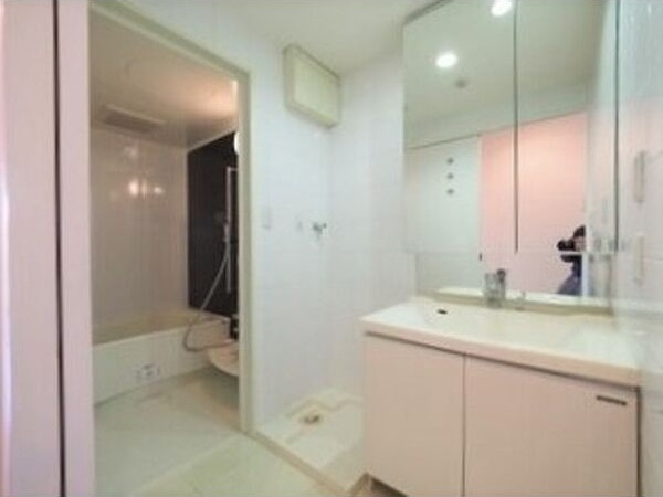 メゾン・ド山手の洗面所