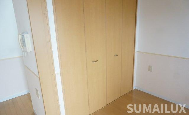 熊本市南区出仲間９丁目の賃貸マンションの収納