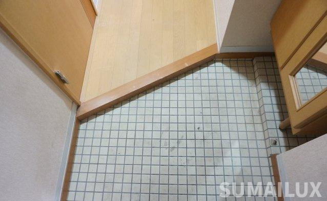 熊本市南区出仲間９丁目の賃貸マンションの玄関