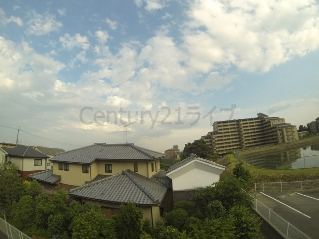 【展望】 | ミリカルブラ