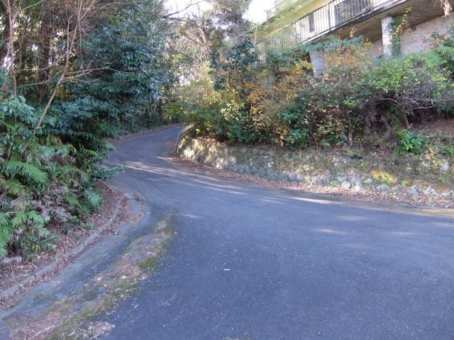 伊東市　宇佐美みのりの村の前面道路含む現地写真