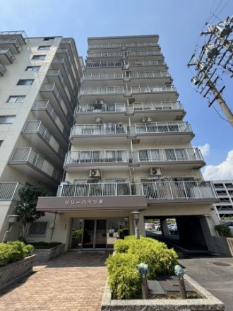 リリーハイツ港