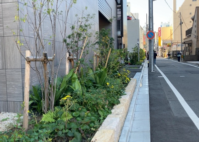【中庭】 | エクセレントシティ本厚木駅前 | 中庭（パティオ）とは、一つの建築物の内部に設けられた、壁などで囲われている庭のことを指します。コの字型、ロの字型が主流ですが、L字型の中庭もあります。最近では、インテリア性の高さからも人気があります。
