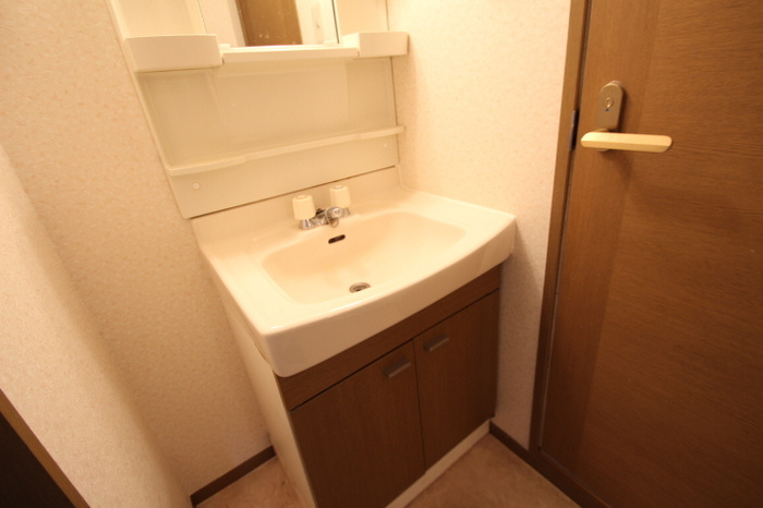 ジュネス・シノダの洗面所