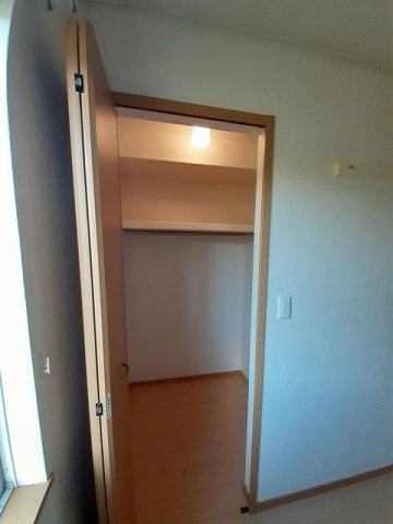 サニーの収納
