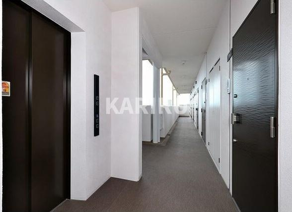 スプランディッド放出のその他