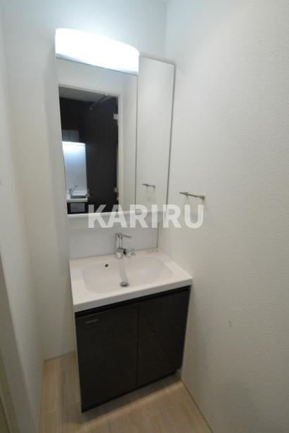 スプランディッド放出の洗面所