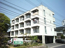 セフィーロ