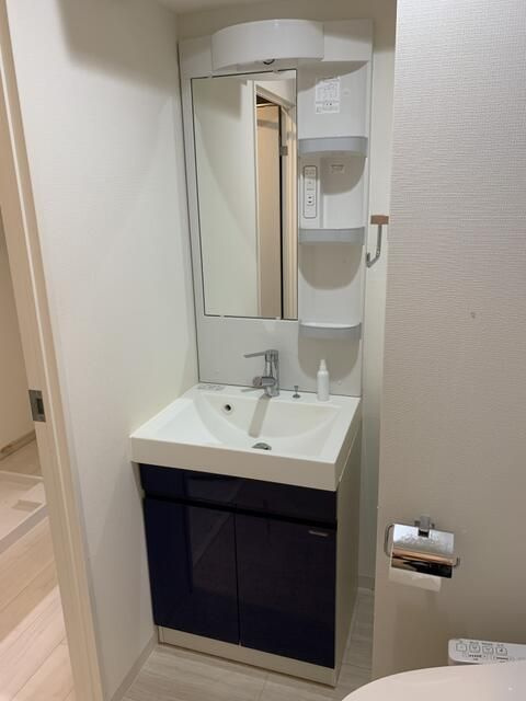 リベール西片の独立洗面台