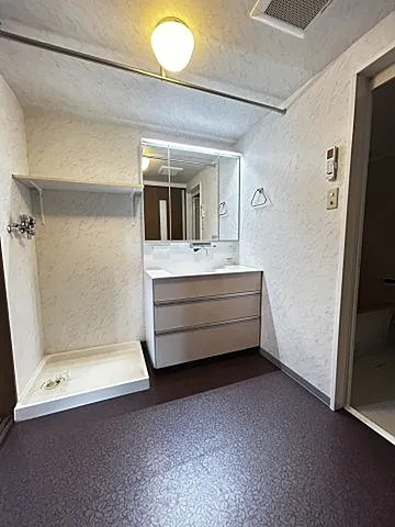 ドマーニ住吉の洗面所