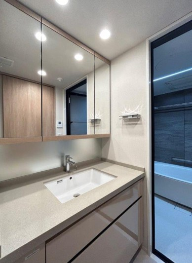 ジオ市谷仲之町の独立洗面台