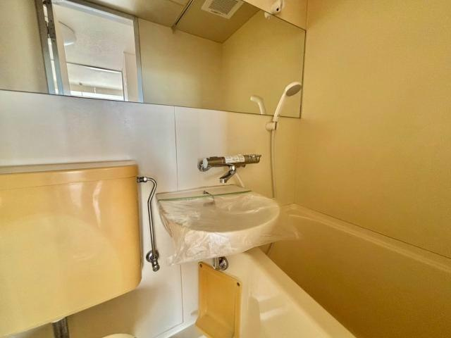 コイデハイツの洗面所