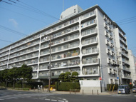 今福スカイハイツの画像