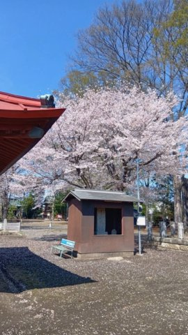 石橋売地