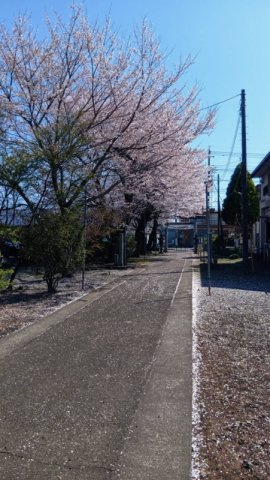 石橋売地