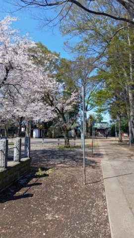 石橋売地