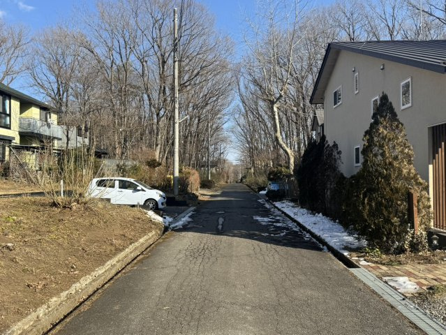 築浅の綺麗でおしゃれな平家♪　那須町高久丙の注文中古住宅の前面道路含む現地写真|前面道路含む現地写真です