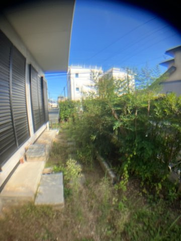 南島町二丁目14番地16貸家の庭