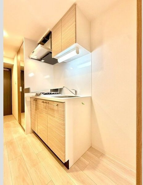 エスリード ザ・レガリア新栄ALTAIERのキッチン