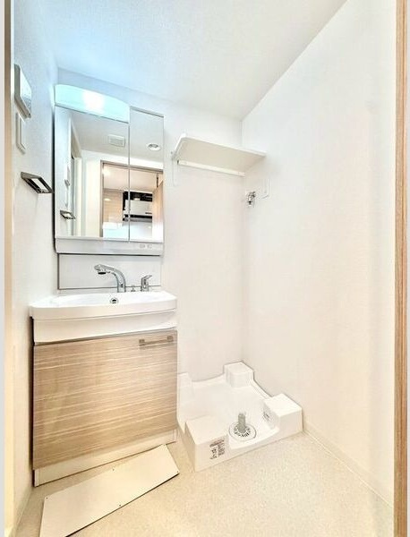 エスリード ザ・レガリア新栄ALTAIERの洗面所