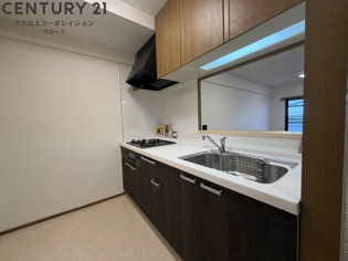 ラ・ビスタ宝塚エスティオ２番館のその他物件画像